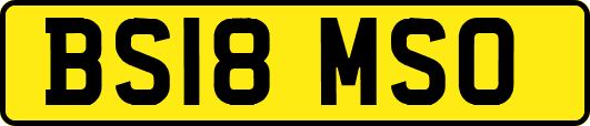 BS18MSO
