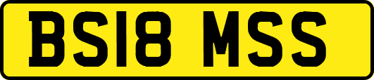 BS18MSS