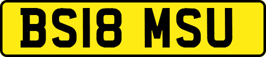 BS18MSU