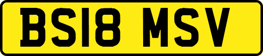 BS18MSV