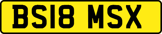 BS18MSX