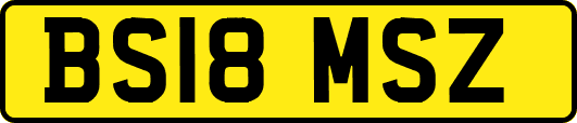 BS18MSZ
