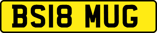 BS18MUG