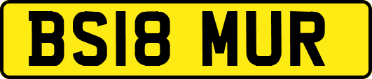 BS18MUR