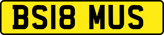 BS18MUS