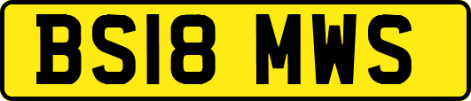 BS18MWS