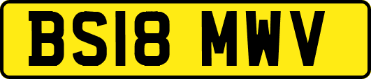 BS18MWV