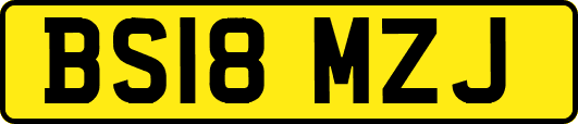 BS18MZJ