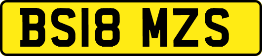 BS18MZS