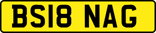 BS18NAG