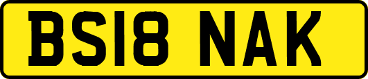 BS18NAK