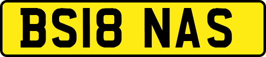 BS18NAS