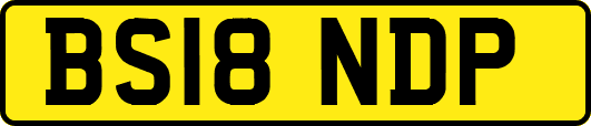 BS18NDP