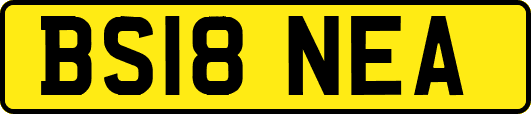 BS18NEA