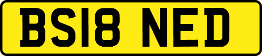 BS18NED
