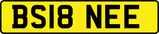 BS18NEE