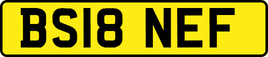 BS18NEF