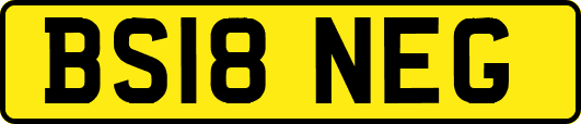 BS18NEG