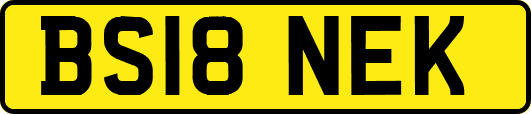 BS18NEK