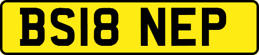 BS18NEP