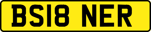BS18NER
