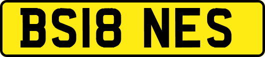 BS18NES