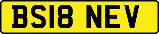 BS18NEV