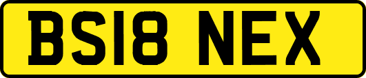 BS18NEX