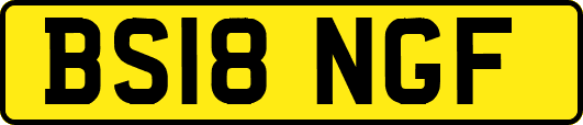 BS18NGF