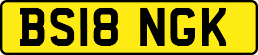 BS18NGK