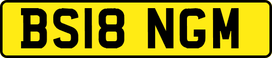 BS18NGM