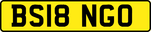 BS18NGO