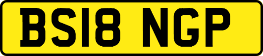 BS18NGP
