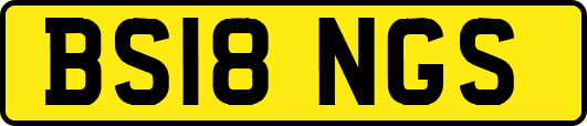 BS18NGS