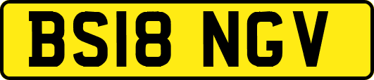 BS18NGV