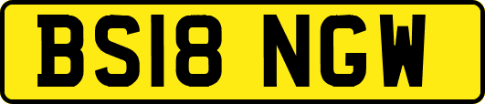 BS18NGW