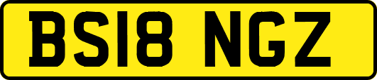 BS18NGZ