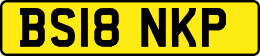 BS18NKP