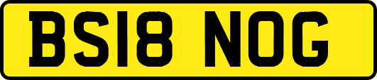 BS18NOG