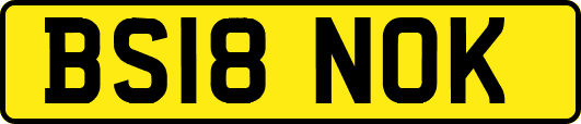 BS18NOK