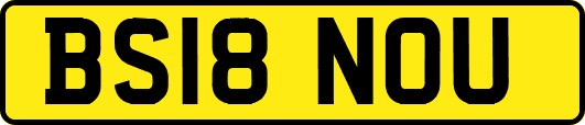BS18NOU