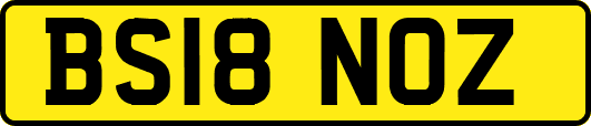 BS18NOZ