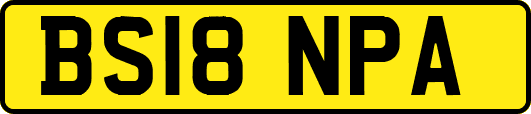 BS18NPA