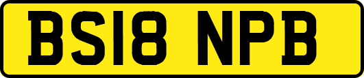 BS18NPB