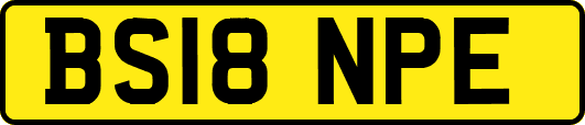 BS18NPE