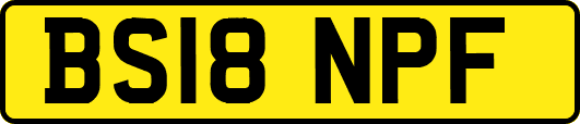 BS18NPF