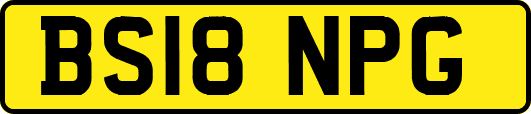 BS18NPG