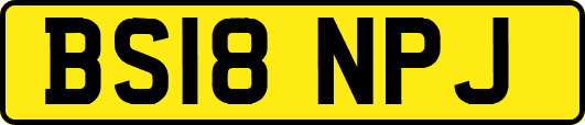 BS18NPJ