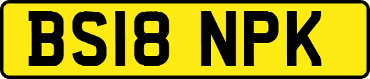 BS18NPK