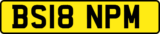 BS18NPM